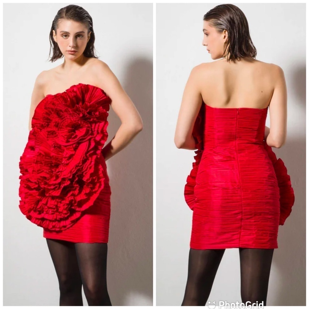 NANA GOTTI Camellia 3D Flower Dress Red New with Tags!